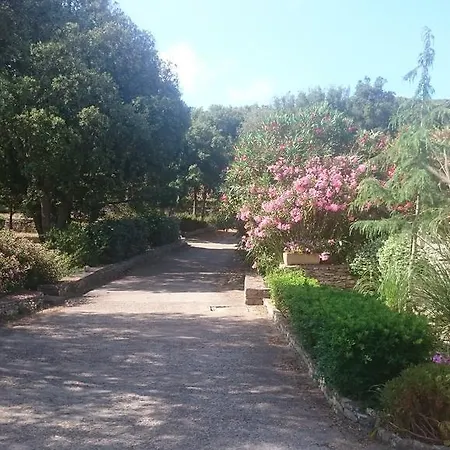 Domaine De Foresta Гостевой дом Бонифачо