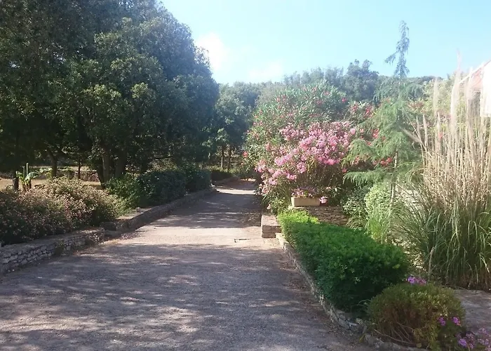Pensjonat Domaine De Foresta Bonifacio (Corsica)